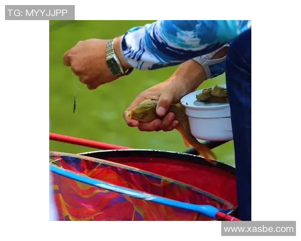 3g90VS体育全新体验开启畅享精彩赛事与互动乐趣的完美结合 3g90VS体育全新体验开启畅享精彩赛事与互动乐趣的完美结合